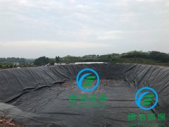 内江3000立方黑膜沼气池 沼气工程 工程位于凌家